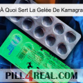 À Quoi Sert La Gelée De Kamagra new04